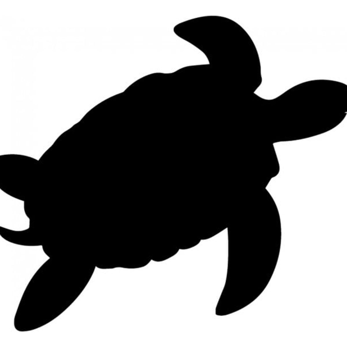 GENERICO - Decomural Turtle Under The Sea Pack WS-33233