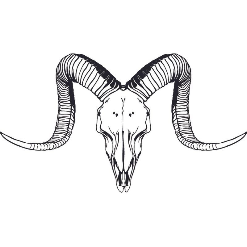 GENERICO - Decomural Ram Skull Animals Horns WS-35705