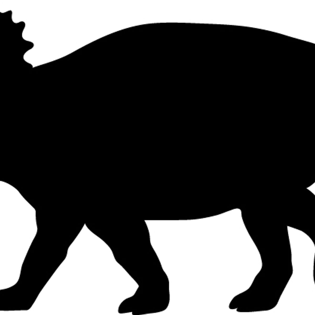 GENERICO - Decomural Bmx Bike WS-50391