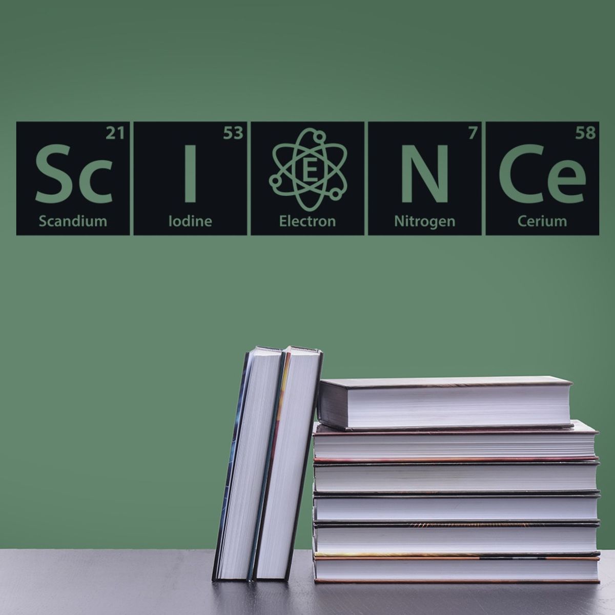 GENERICO - Decomural Ballerina Slippers Ballet WS-50557