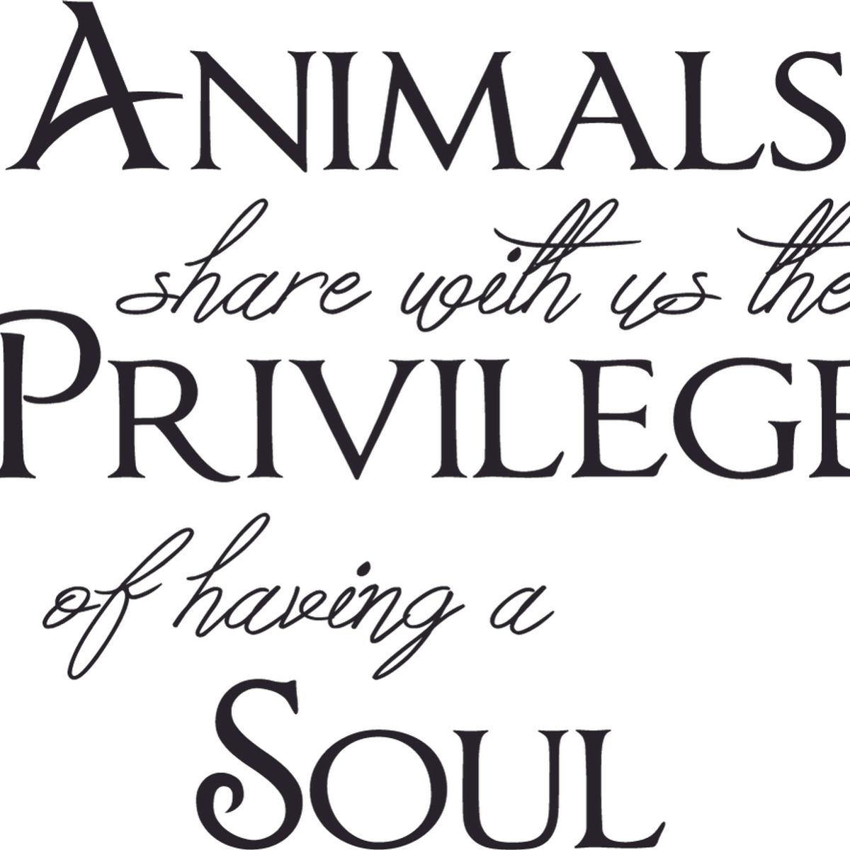 GENERICO - Decomural Guests Must Be Approved Dog WS-41479