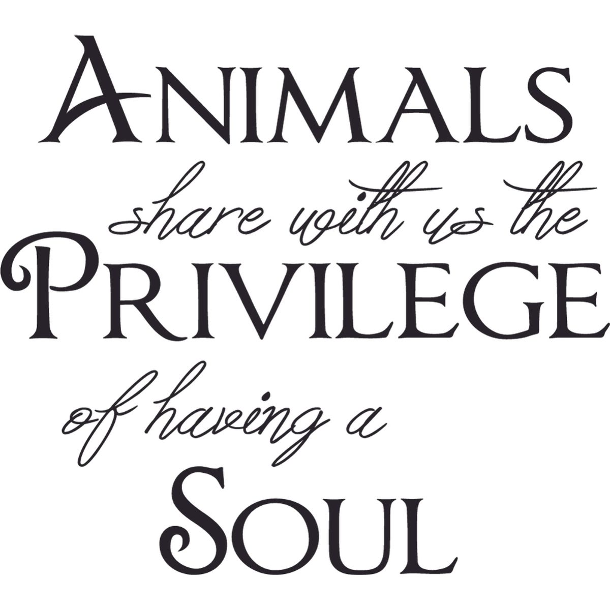 GENERICO - Decomural Guests Must Be Approved Dog WS-41479