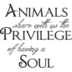 GENERICO - Decomural Guests Must Be Approved Dog WS-41479