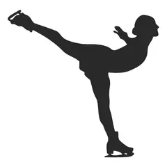 GENERICO - Decomural Evolution Football Sports WS-42938