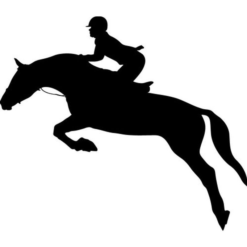GENERICO - Decomural Equestrianism Horse Woman Rider Jump WS-80032