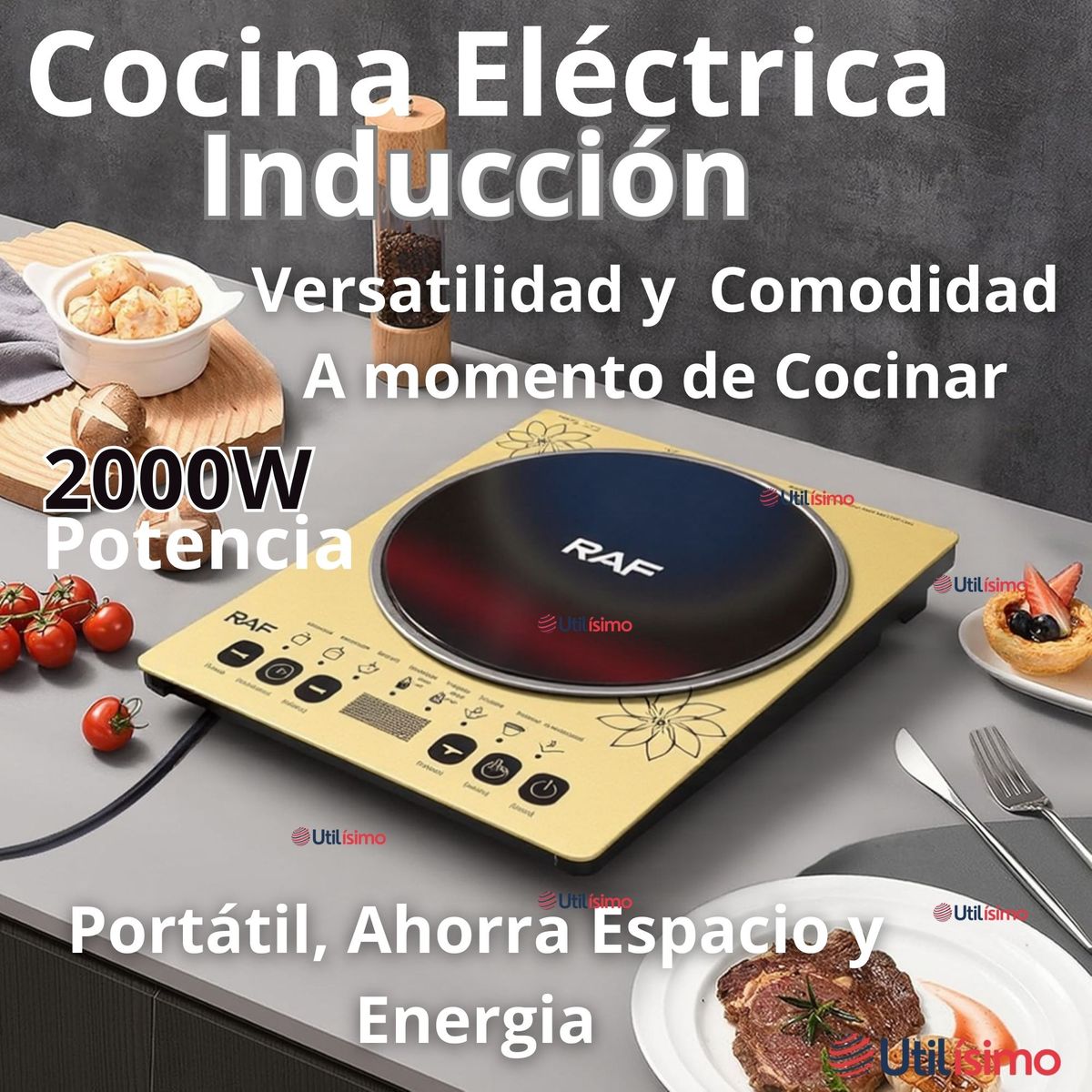 RAF - Cocina Encimera Eléctrica de Inducción 1 Plato Portátil 2000W
