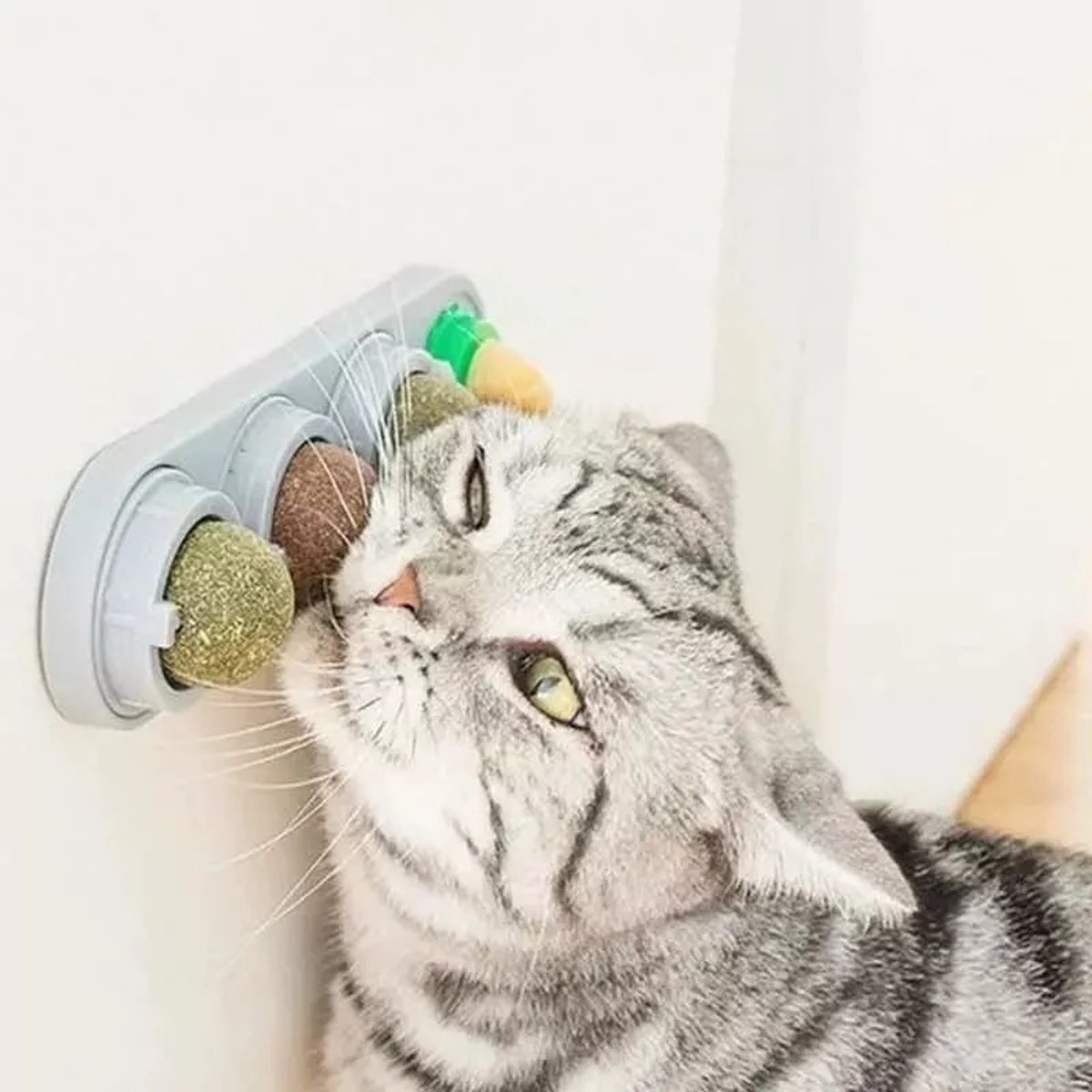 GENERICO - CATNIP PARA GATOSTop de Ventas