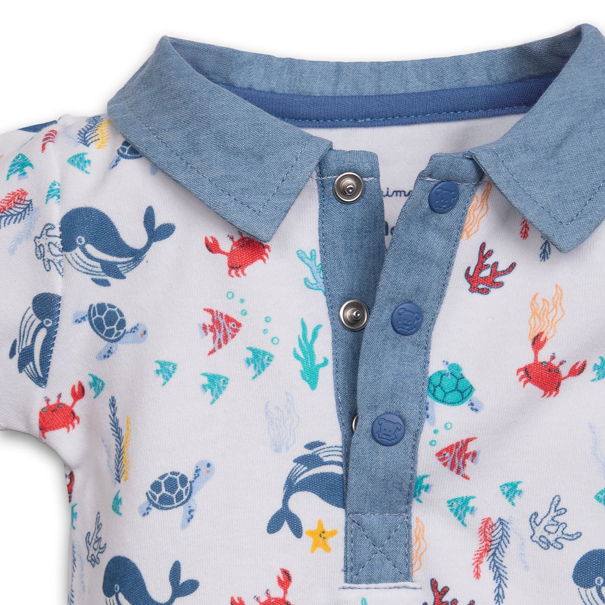 PILLIN - Body Recién Nacido  Surtido Pillin PVC224-25SUR