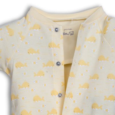 Imagen 2 del producto Osito Recién Nacido Surtido PVC227-25SUR