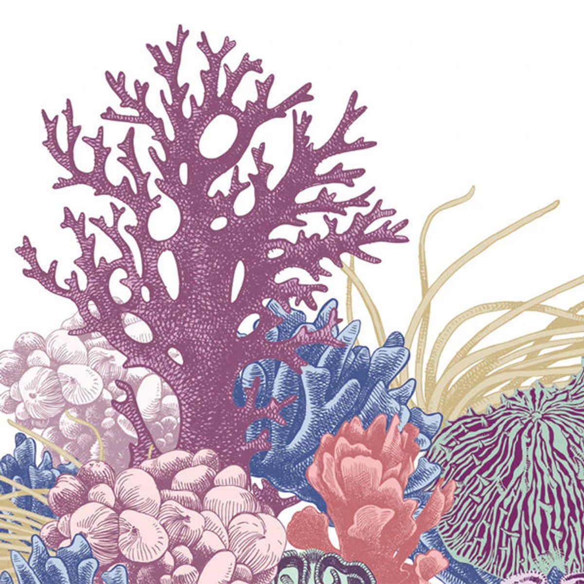 KLEAN KANTEEN - Botella Térmica del Dia de los Océanos con Tapa Bambú