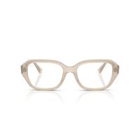 Ray-Ban Optical Lentes Ópticos Shea RX7258 8433 53
