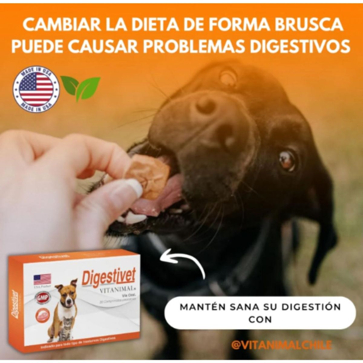 GENERICO - Digestivet 30 Comprimidos Suplemento Digestivo Perros