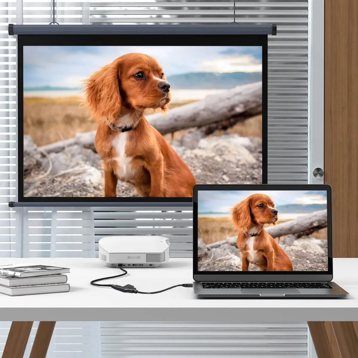 GENERICO - Cable Hdtv Adaptador Alta Definición 2 En 1