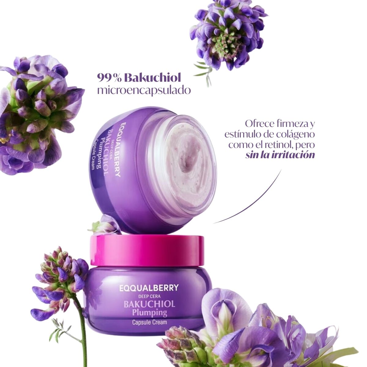 EQQUALBERRY - EQQUALBERRY Crema Facial Reafirmante con Bakuchiol  Cosmética Coreana