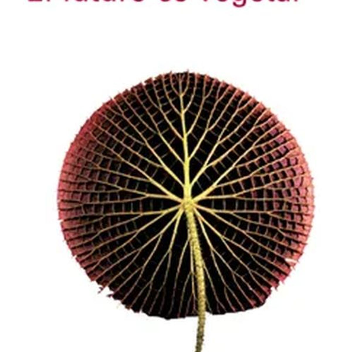 GALAXIA GUTENBERG - Libro El futuro es vegetal - STEFANO MANCUSO