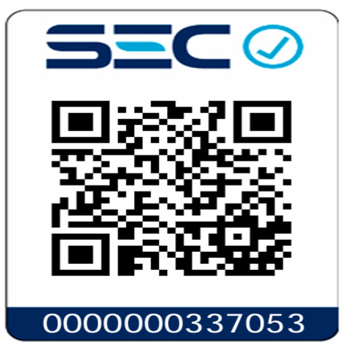 TOYAKI - Taladro Percutor 1100w Professional Toyaki