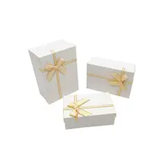 GENERICO - Caja Rectangular Triple Blanco 1 PCS