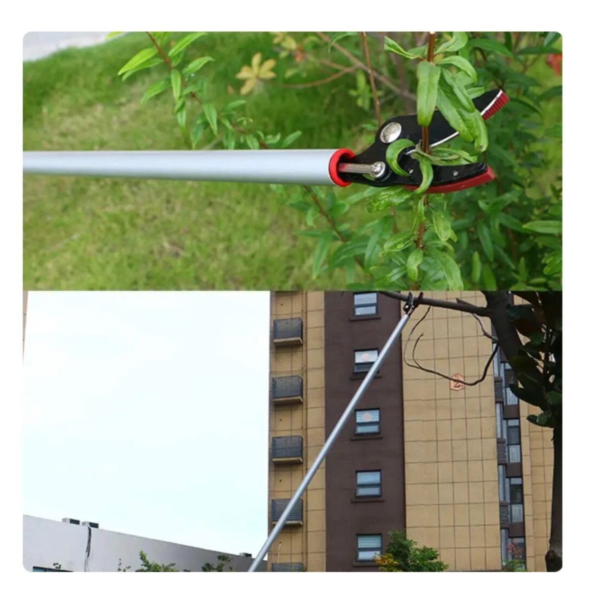 GENERICO - Tijeras para podar en altura hasta 3 metros