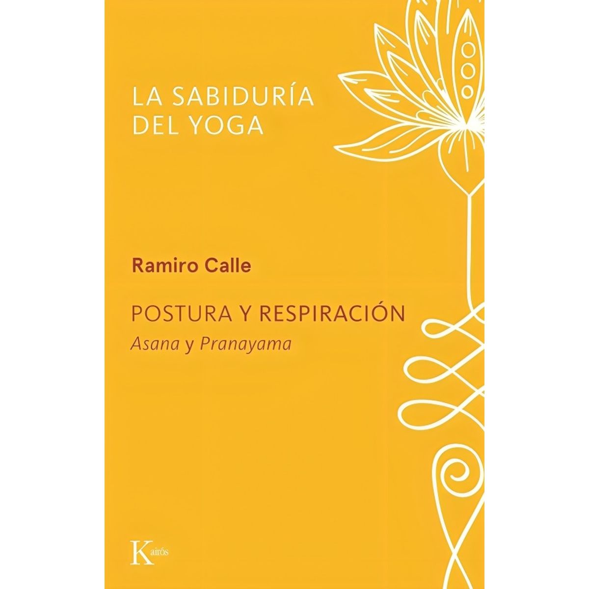 TOP10BOOKS - LIBRO Postura Y Respiración - Postura Y Respiración