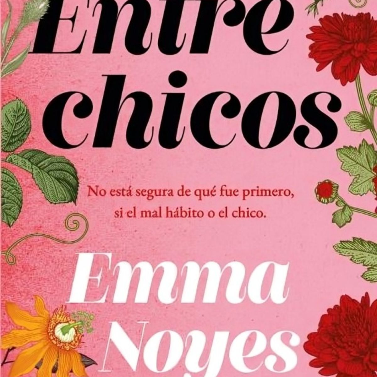 TOP10BOOKS - LIBRO Entre Chicos - Entre Chicos