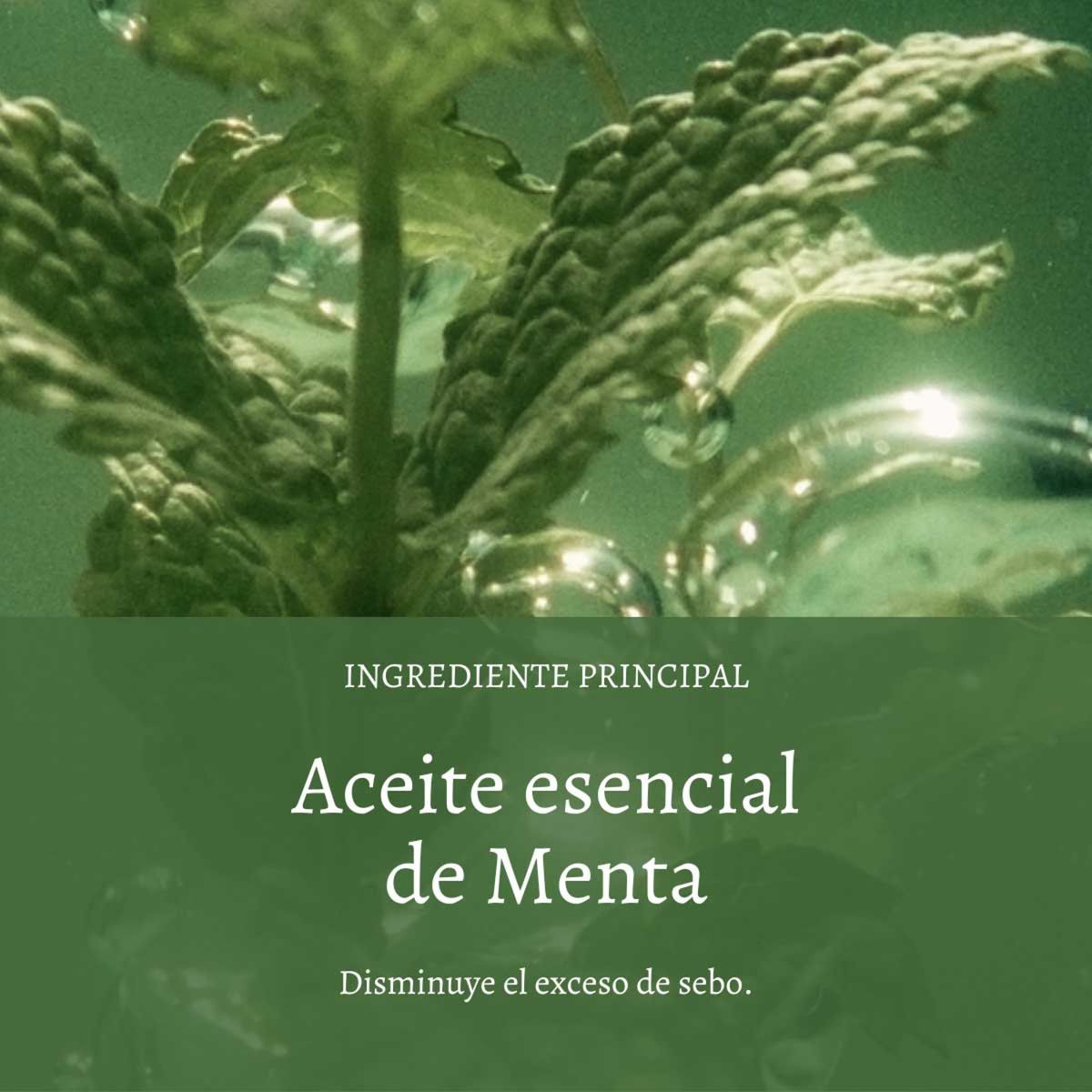 LOCCITANE - Refill Shampoo Frescura y Pureza Aromacología 500 ml LOCCITANE