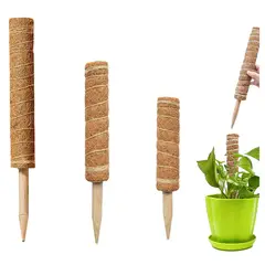 GENERICO - Tutor Palo Para Plantas Fibra De Coco 30-40-50 Cm Pack X3