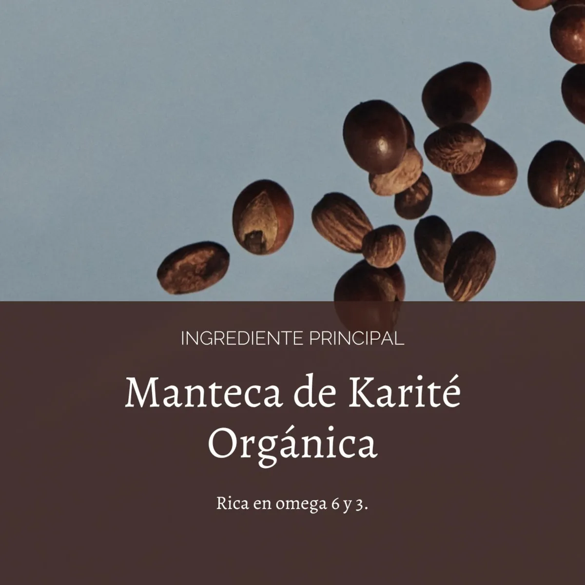 LOCCITANE - Leche de Limpieza Facial Karité 200 ml LOCCITANE