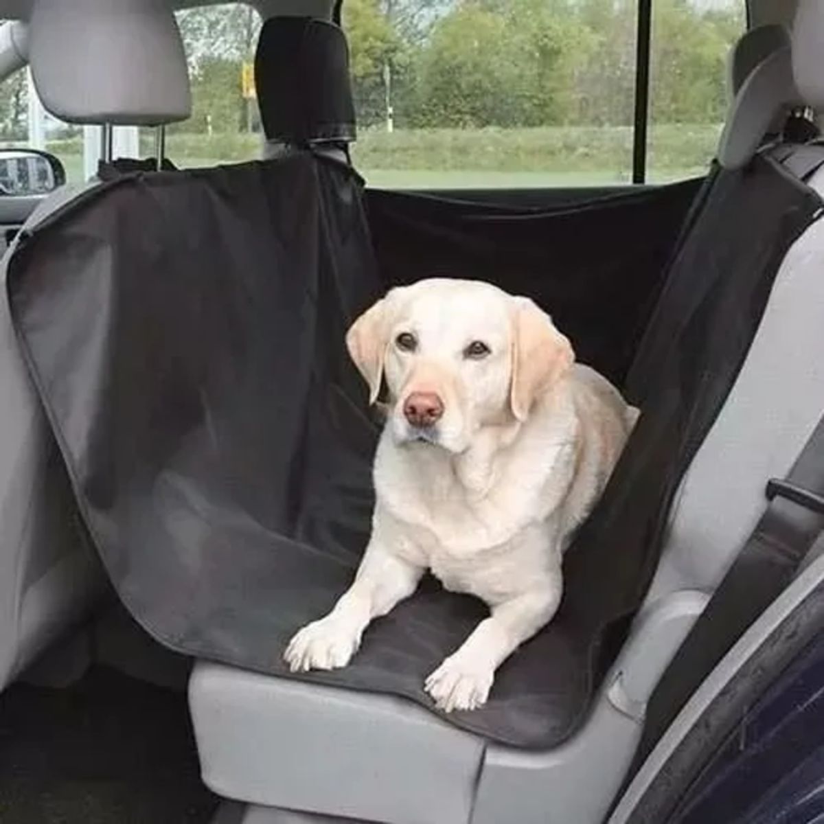 GENERICO - Funda Protectora Cubre Asiento Auto para Perros y Mascotas