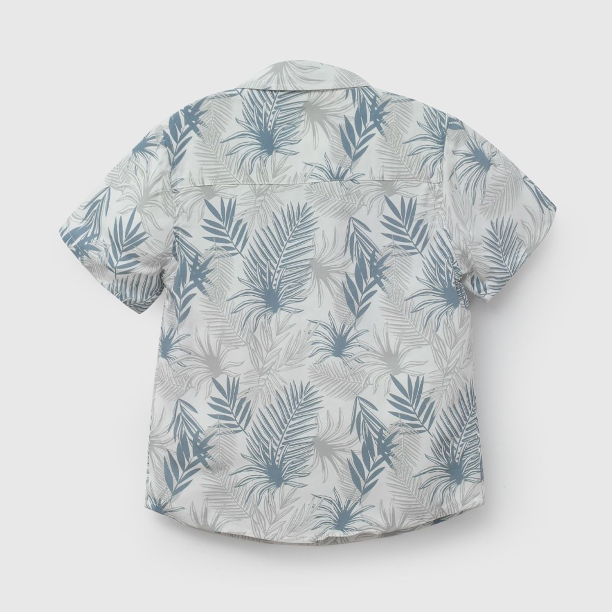 COLLOKY - Camisa Niño Verde 58137 Colloky