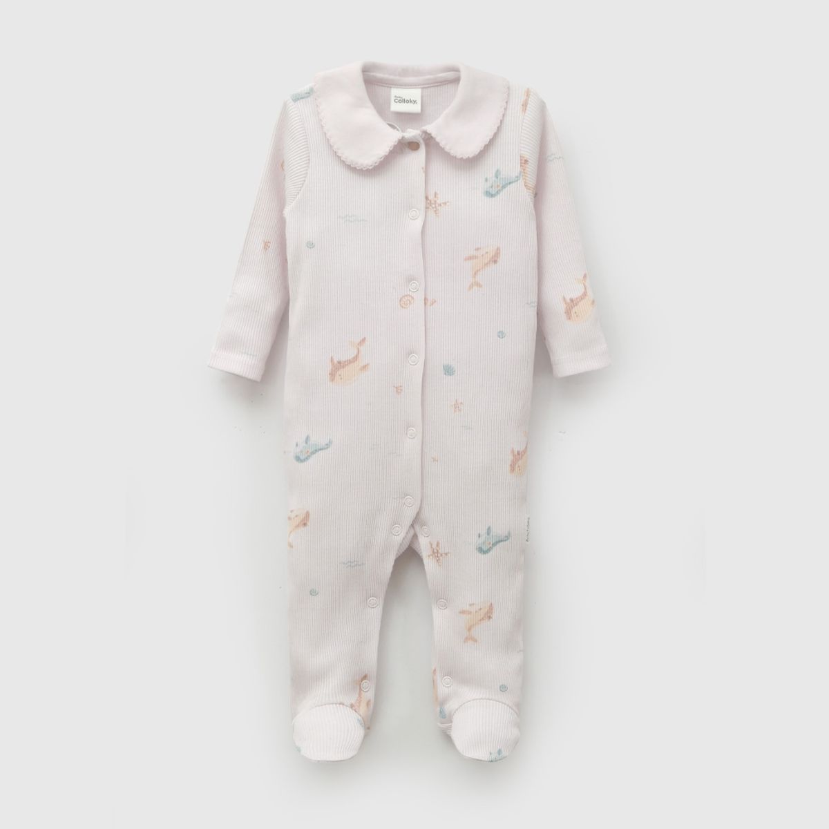 COLLOKY - Osito Niña Morado 57856 Colloky