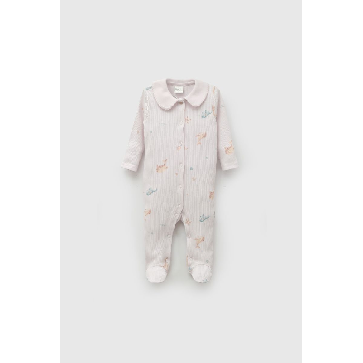 COLLOKY - Osito Niña Morado 57856 Colloky