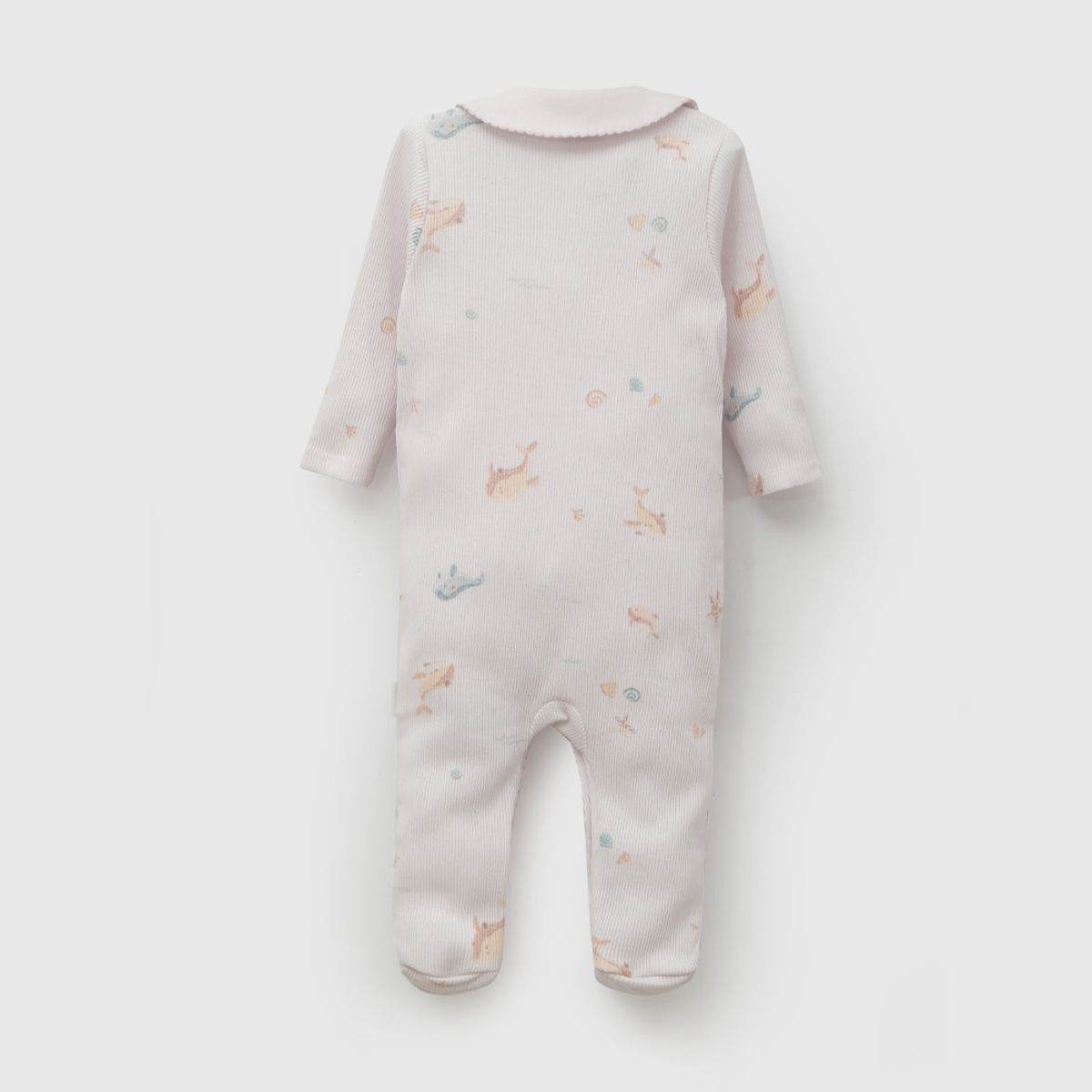 COLLOKY - Osito Niña Morado 57856 Colloky