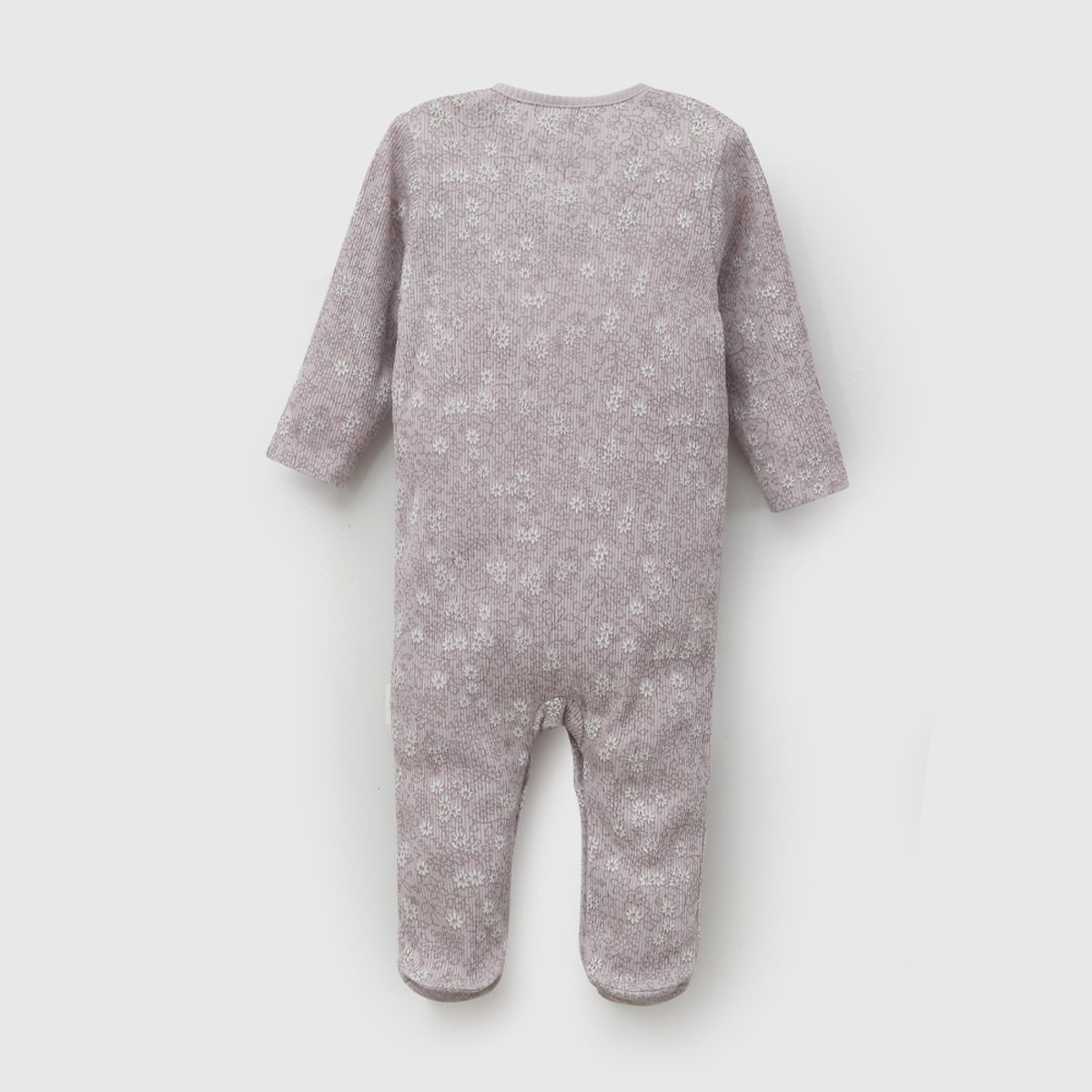 COLLOKY - Osito Niña Morado 57385 Colloky