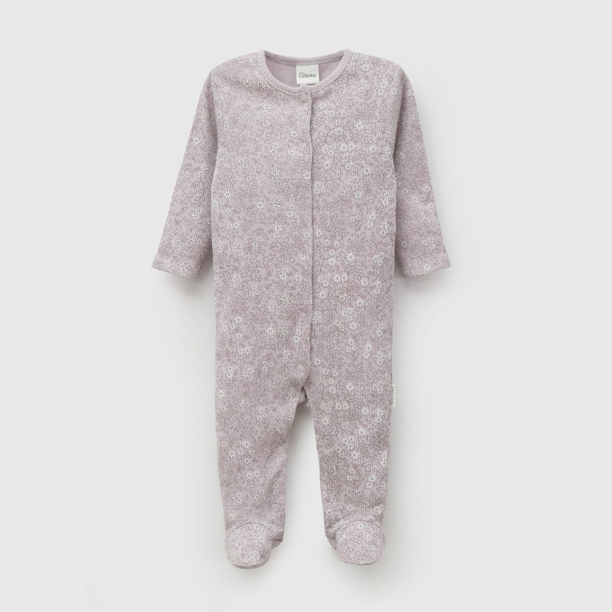 COLLOKY - Osito Niña Morado 57385 Colloky