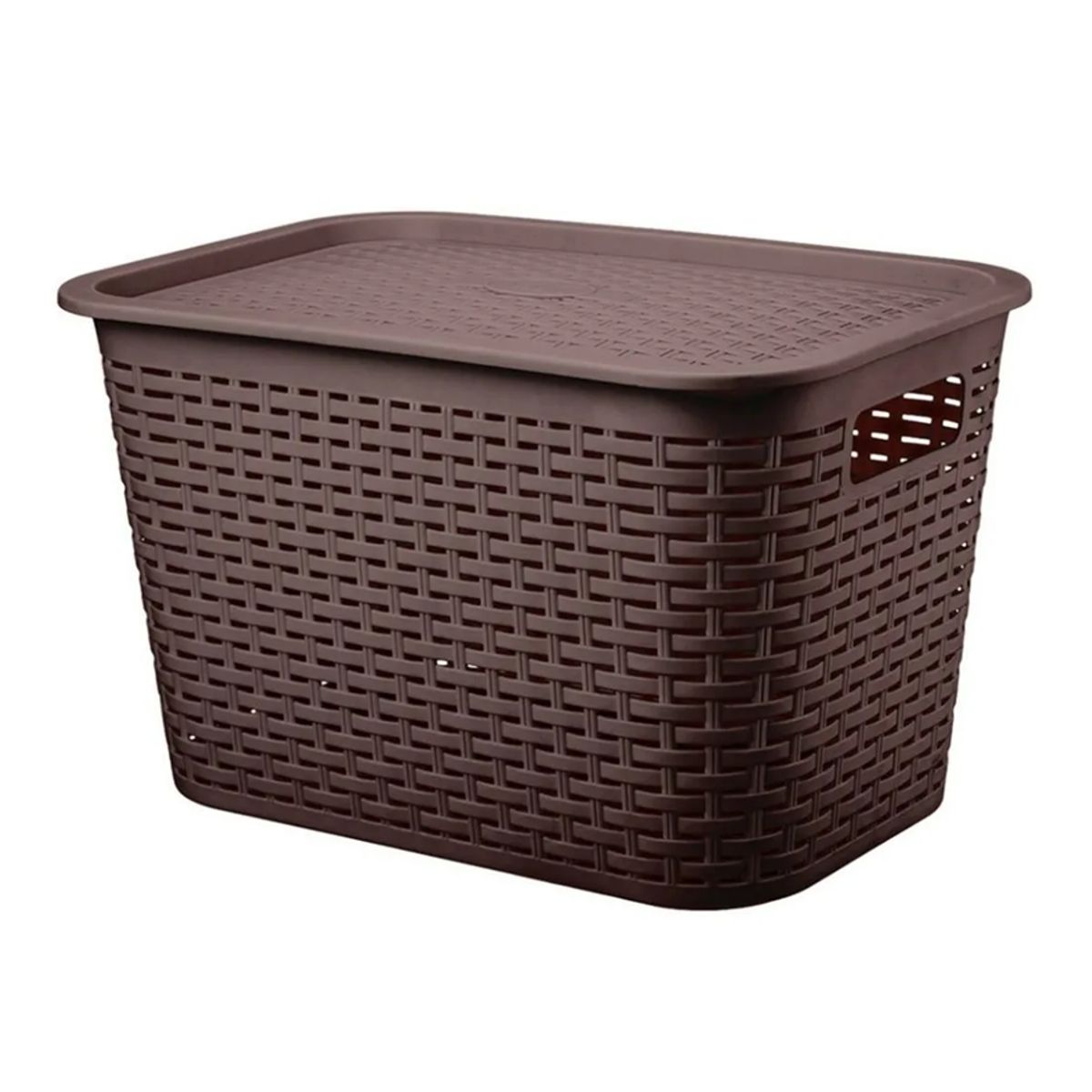 GENERICO - Canastilla organizadora rattan 22l multiuso