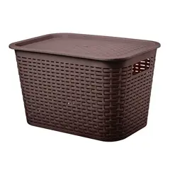 GENERICO - Canastilla organizadora rattan 22l multiuso