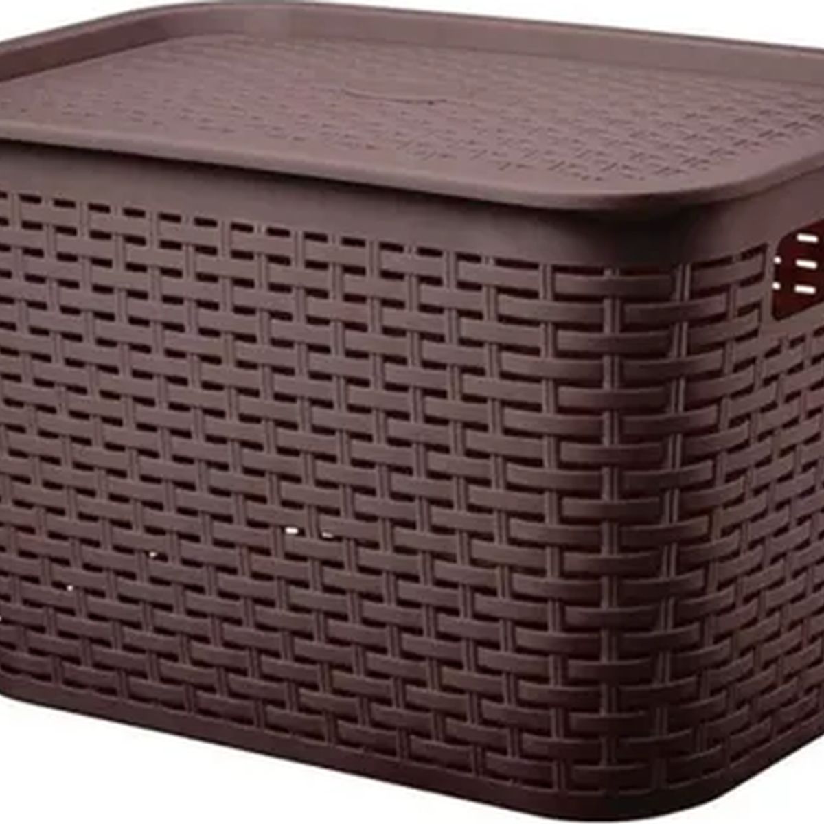 GENERICO - Caja organizadora rattan Tavarua 22l