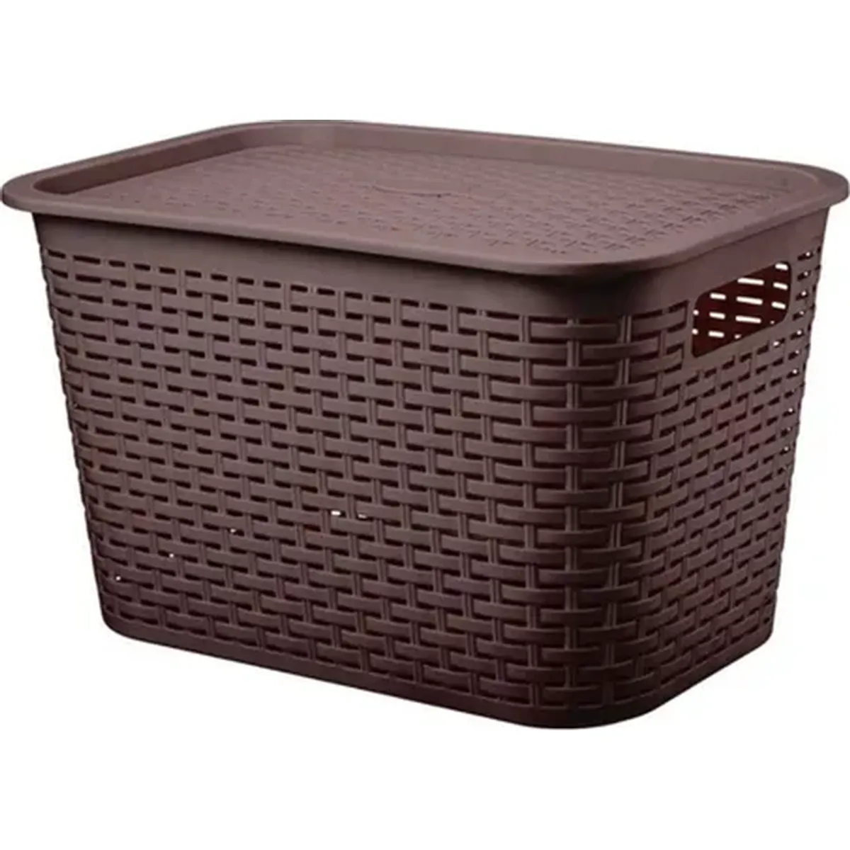 GENERICO - Caja organizadora rattan Tavarua 22l
