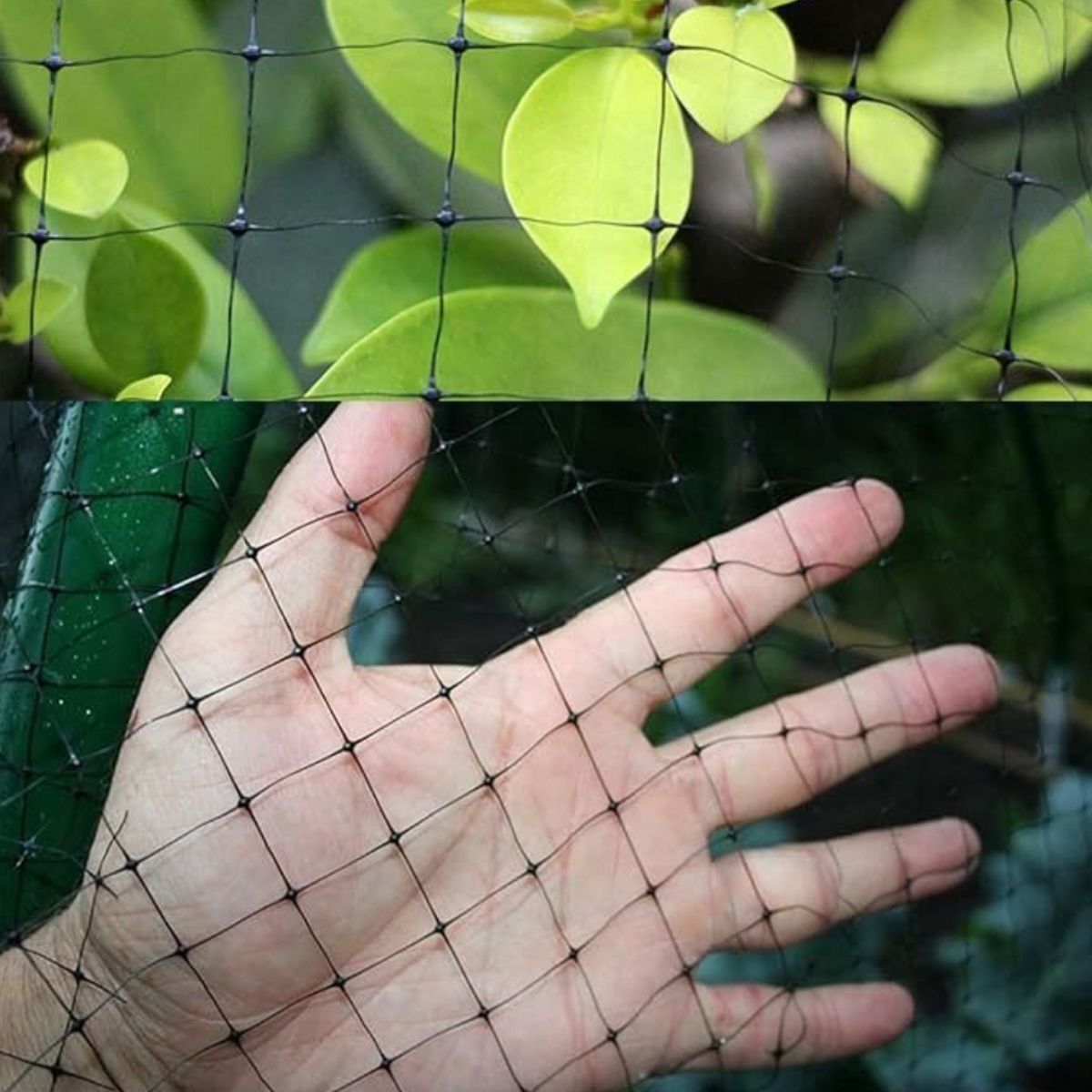 ATURE - Huertos Jardines Mallas Antipájaros Protección De Plantas