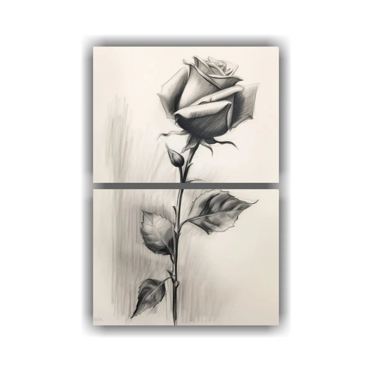 GENERICO - Dibujo Lápiz Grafito De Una Rosa Roja De Cerca 50x80 Cm