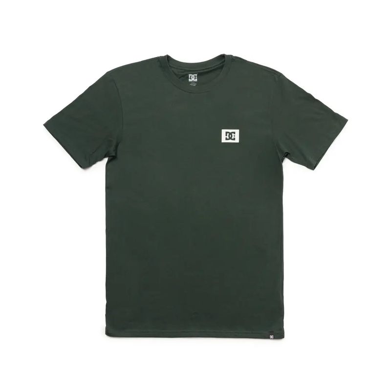 DC SHOES - Polera Hombre Stage Box Verde DC