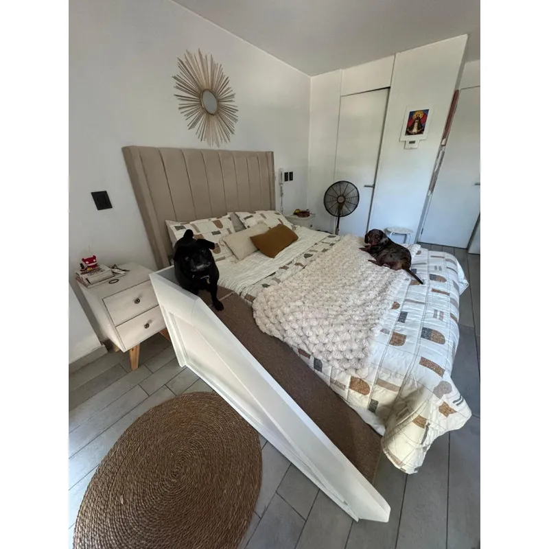 APOLO - Rampa para Mascotas 120x25x60 cm - Alfombra Antideslizante - Soporta 80 kg - Perros y Gatos