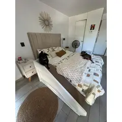 APOLO - Rampa para Mascotas 120x25x60 cm - Alfombra Antideslizante - Soporta 80 kg - Perros y Gatos