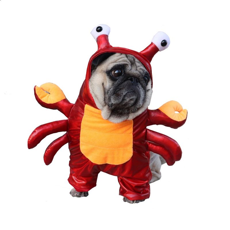 GIOIO - Disfraz Cangrejo Mascota Halloween Divertido Gato Perro M