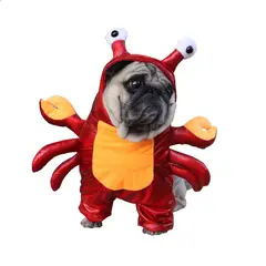 GIOIO - Disfraz Cangrejo Mascota Halloween Divertido Gato Perro M