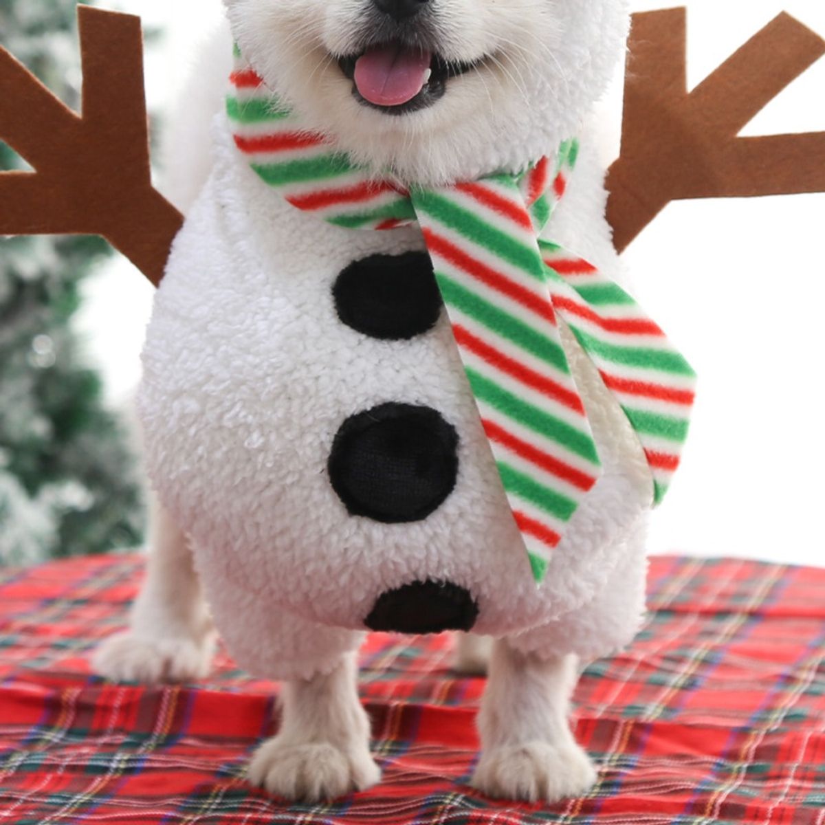 GIOIO - Disfraz Snowman Navidad Mascota Divertido Perro Gato L