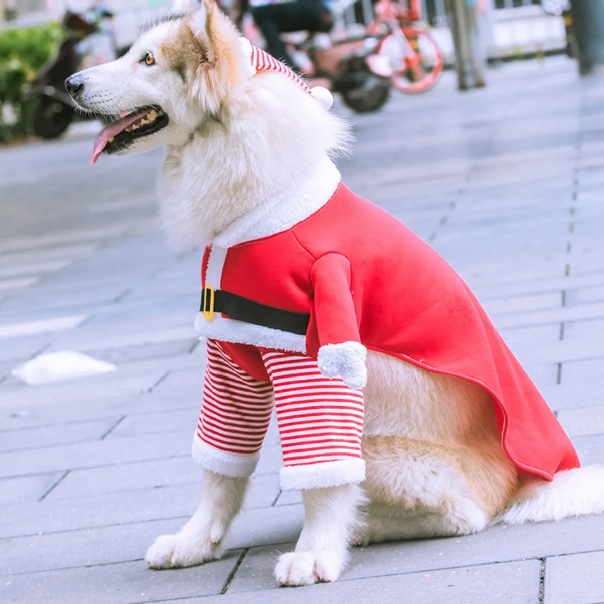 GIOIO - Abrigo Polar Navidad Mascota Divertido Perro Gato Invierno S