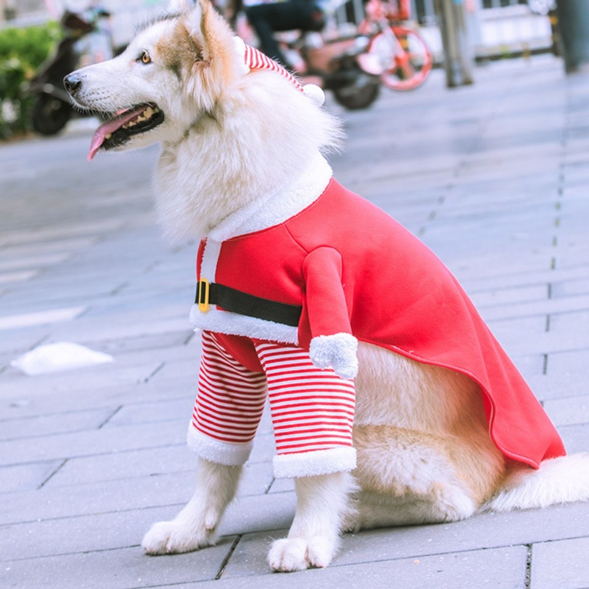 GIOIO - Abrigo Polar Navidad Mascota Divertido Perro Gato Invierno M
