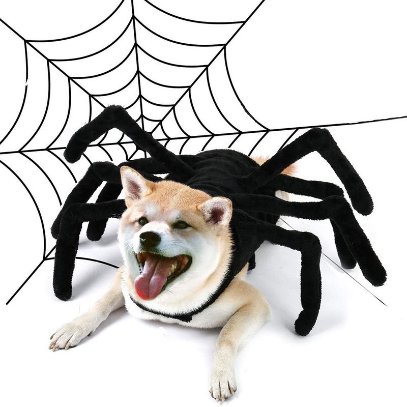 GIOIO - Disfraz Araña Mascota Halloween Divertido Aterrador XXL