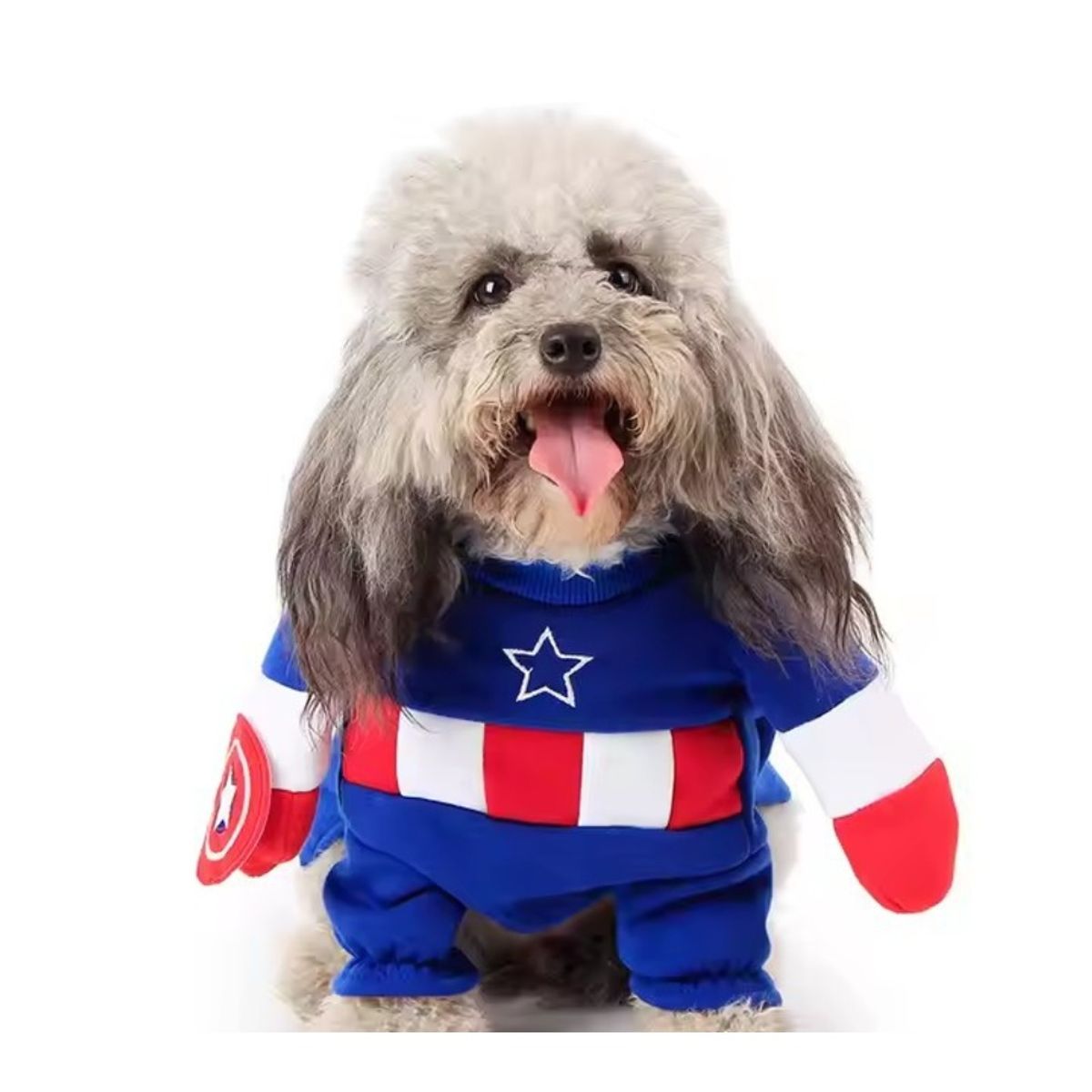 GIOIO - Disfraz Capitán América Perro Halloween Divertido XL